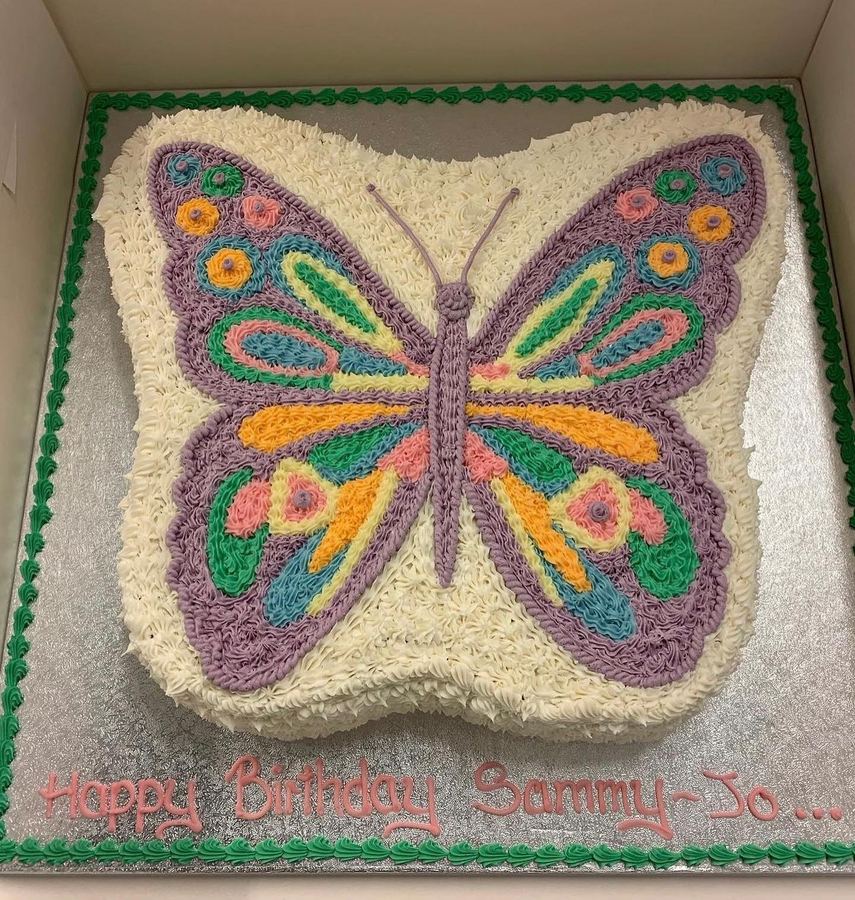 Piped butterfly birthday cake